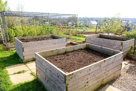 Gardeners Guide To Raised Bed Soil Kellogg Garden Organics™