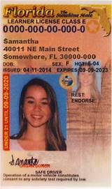 Florida Drivers License Permit Test Pictures
