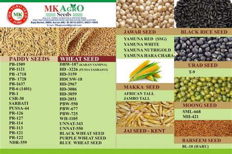 We dazz exports supply 100% pure pusa rice. Pusa Basmati-1509 ( Paddy Seed) For Agriculture, Pack Size ...