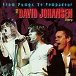 Best Buy: From Pumps to Pompadour: The David Johansen Story [CD]