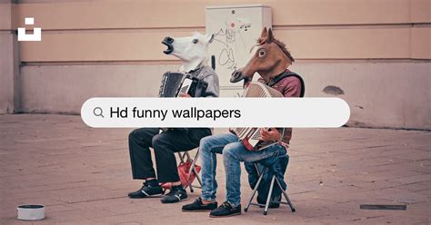 Funny Wallpapers Free Hd Download 500 Hq Unsplash