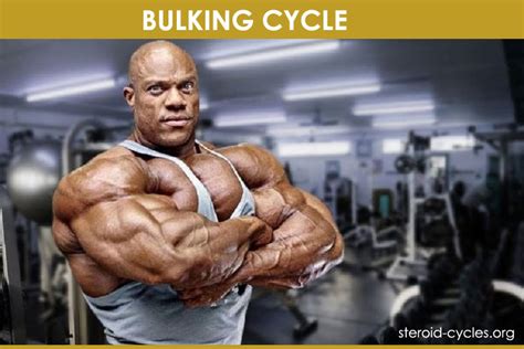 Bulking Cycle List Of Bulking Steroids For Mass Gain 2020