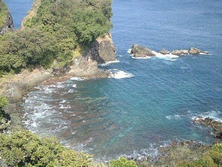 Satwa laut ini disebut juga ikan dugong. Geografi: Pinggir Laut