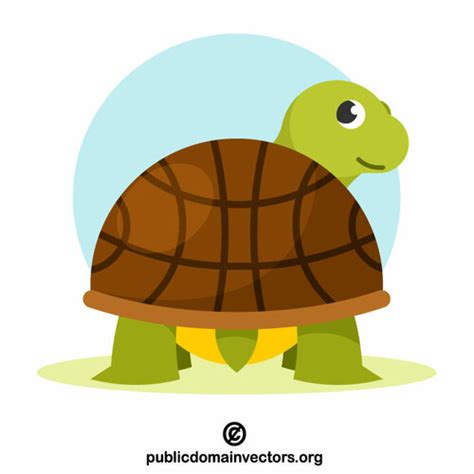 Cute Turtle Vector Public Domain Vectors