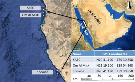 Locations Of Study Sites On The Coastline Of Saudi Arabia Red Sea