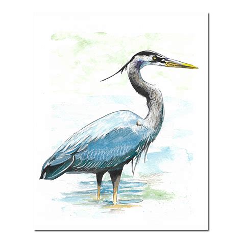 Great Blue Heron Print