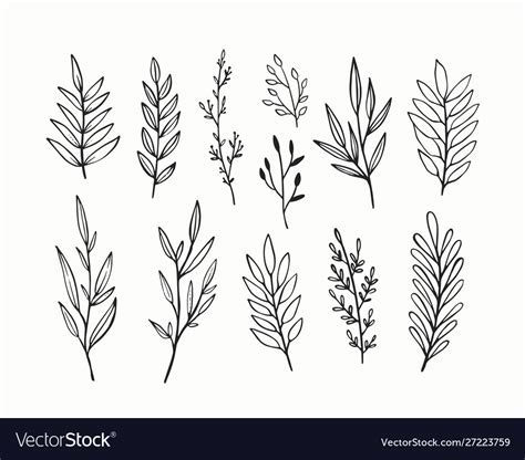 Branches And Leaves Hand Drawn Floral Royalty Free Vector
