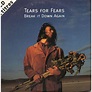 Break it down again / bloodletting go by Tears For Fears, CDS with ...