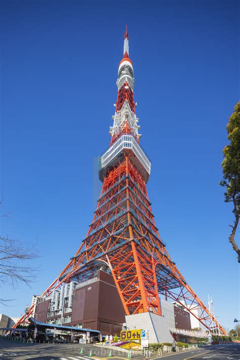 最も欲しかった Tokyo Tower Roppongi 122042 Tokyo Tower Roppongi Hills