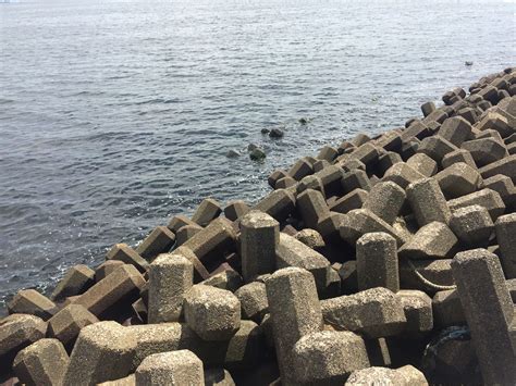 Japan Has A Thing For Tetrapods Some Say Its Down To The Government Being In Bed With Certain