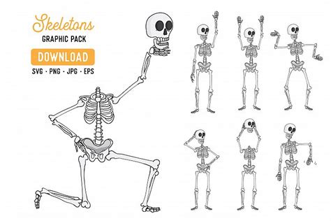 Skeleton Vector Clipart Pack