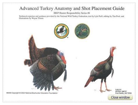 Handy Turkey Shot Placement Aids Available From National Bowhunter