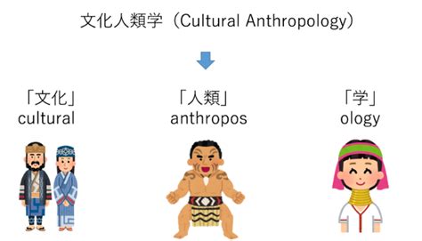 【文化人類学とは】学問の特徴から文化の定義までわかりやすく解説｜リベラルアーツガイド