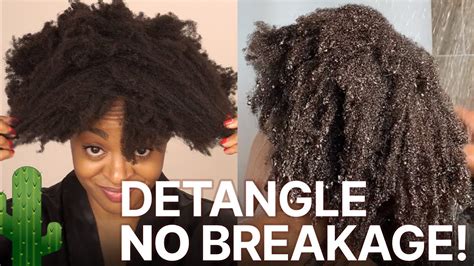 How To Detangle Dry Dusty 4c Hair After A Week Of Wash And Gos No