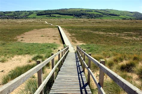 Boardwalk Through The Nature Reserve © Jeff Buck Cc By Sa20