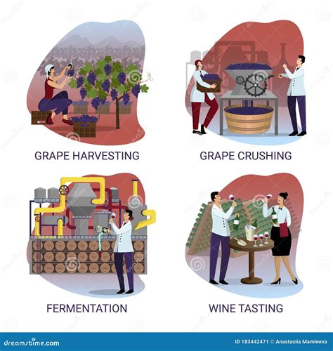 Set Of Illustrations On The Topic Of Wine Production Stages Of