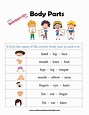 Body Parts Worksheet 6