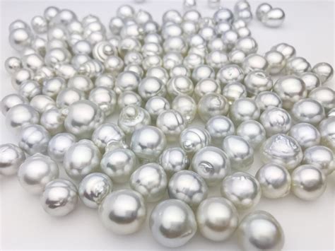 Silver South Sea Aa 10mm To 15mm Sb Loose Pearls 198