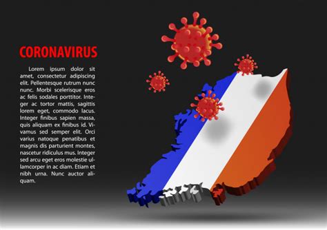 Creative illustrator and graphic designer with more than 10 years of experience. Coronavirus fliegen über karte von frankreich innerhalb der nationalflagge | Premium-Vektor