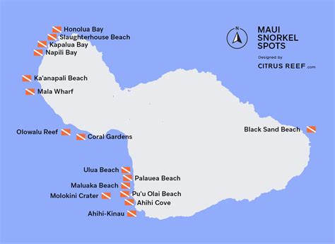Best Maui Snorkeling Top 16 Spots Citrus Reef