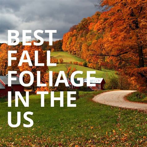 Best Fall Foliage In The Us Amicalola Falls Brooklyn Botanical Garden