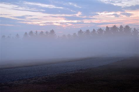 Ground Fog Life On 12 Acres