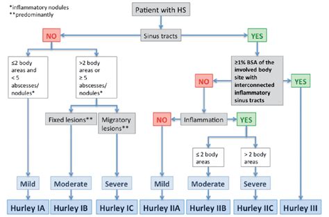 Hurley Staging Refined A Proposal By The Dutch Hidradenitis