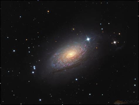 Messier 63 The Sunflower Galaxy Rankinstudio
