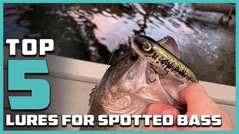 5 Best Lures For Spotted Bass In 2024 Bass Fishing Tips Youtube