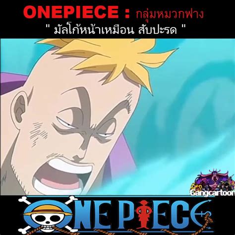 Onepiece มัลโก้หน้าเหมือนสับปะรด Onepiece วันพีช กลุ่มหมวกฟาง