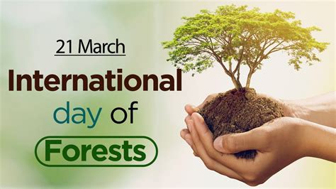 International Day Of Forests 21 March Youtube