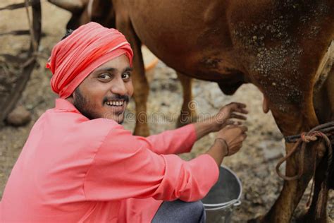 A Dairy Farmer Milking His Cow In His Local Dairy Farm An Indian