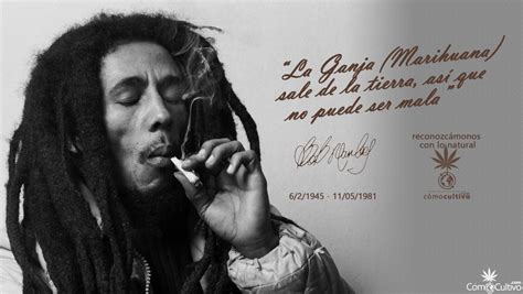 The official twitter account of the #bobmarley estate. Cultiva el alma con estas 71 Frases de Bob Marley ...