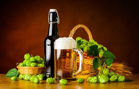 Lúpulo, el secreto de una buena cerveza. 8 Beneficios del lúpulo para la salud
