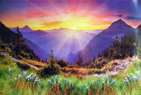 Sunrise At Mountain Poster Buy Online