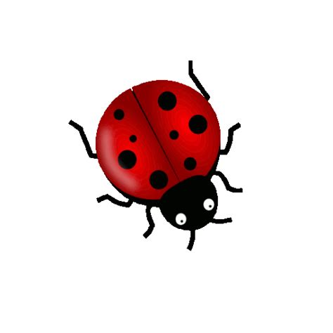 Ladybug Flying 
