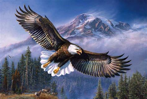 Native American Eagle Hd Wallpapers Top Những Hình Ảnh Đẹp