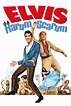 Harum Scarum (1965) - Posters — The Movie Database (TMDB)