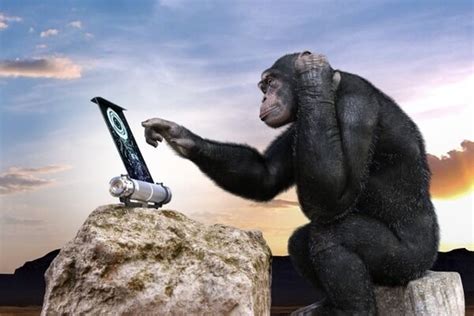 【閲覧注意】チンパンジーの毛を全部とったらマッチョすぎてエグすぎる・・・動画ｱﾘ ビッグ速報