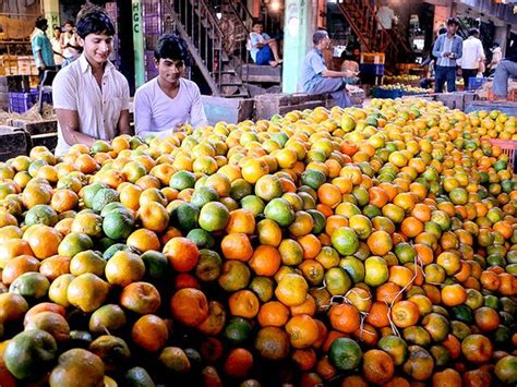 Maharashtra Govt To Push For More Export Of Oranges Mumbai News