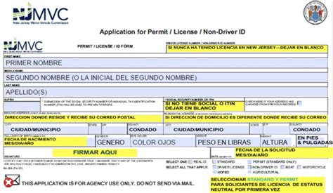 Lo Que Necesita Saber Sobre La Licencia De Conducción Para Inmigrantes