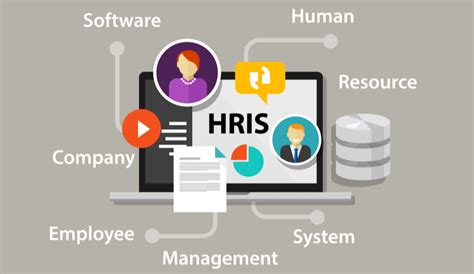 Learn Everything That You Need To Know About Hris In This Guide By