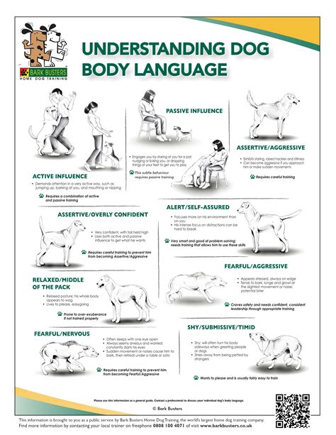 Understanding Dog Body Language Free Dog Training Tips