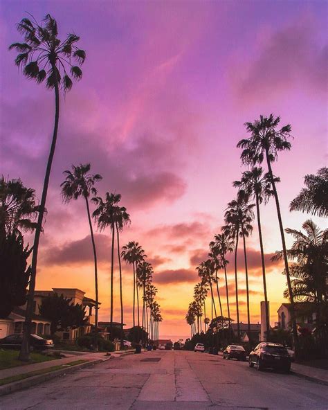La Jolla California California Palm Trees Sunset Photos Los