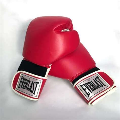 Pair Of 16 Ounce Everlast Pro Boxing Gloves Red