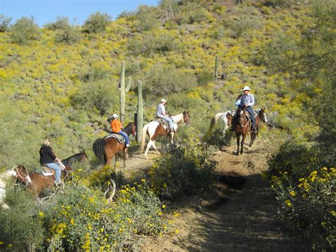 Horseback Riding Phoenix Az Cave Creek Trail Rides
