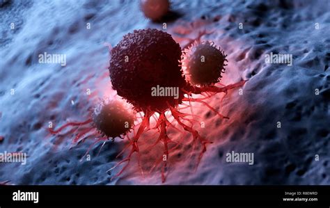 Illustration Of White Blood Cells Attacking A Cancer Cell Stock Photo