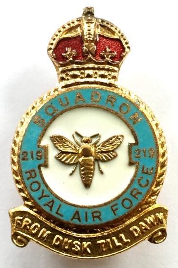 Sally Bosleys Badge Shop RAF No Battle Of Britain Squadron Royal
