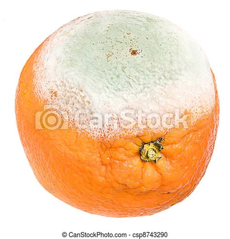 Orange Pourri Fond Blanc Canstock