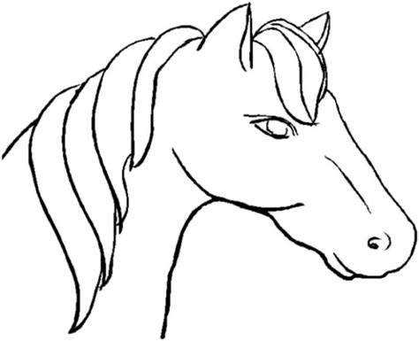 How To Draw An Easy Horse Head Support Wild